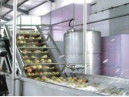 Concentrated Mango Pulp Processing Machinery , 380V Voltage Jam Processing Equipment