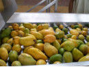 Low Energy Consumption Fruit Jam Production Line For Mango / Cherry / Strawberry Paste