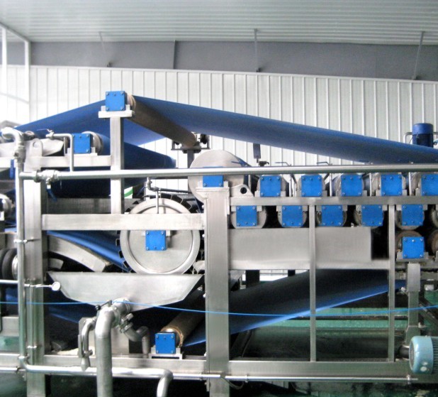 Low Noise Commercial Food Processing Equipment , Ginger Processing