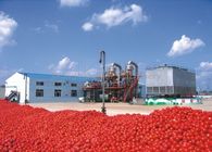 Fully Automatic Tomato Sauce Processing Machine , Tomato Puree Machine 28-30% / 36-38% Brix