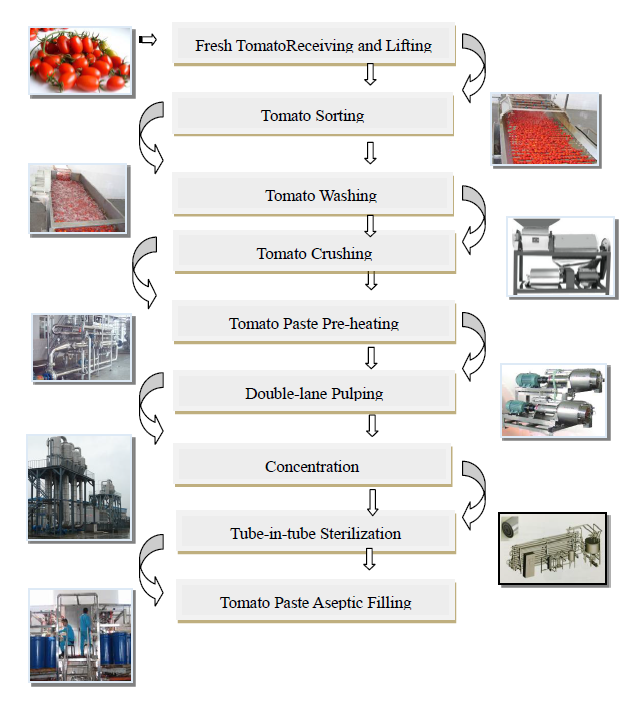 Silver Color Tomato Paste Processing Plant / Fresh Tomato Sauce Making Equipment