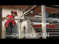 How Does Tomato Paste Made In A Big Factory -Turn Key Tomato Paste Production Line