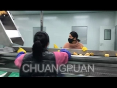 How is fruit juice produced in factory?Let's see pear juice processing line working