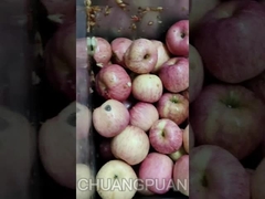 Do you know Hpp juice？Let's see how is apple Juice production line working