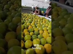 How NFC orange juice is made in factory ，let's go and see