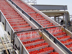 automatic tomato paste production line
