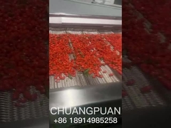 Do you know how sea buckthorn juice is produced? let's see together