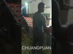 Let's Go And See a Middle Type Of Tomato Paste Production Line In Africa Working